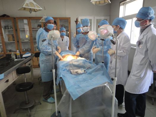 整形外科医院院所报2012年第二期第二版8.jpg