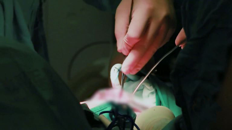 我院关于改扩建工程信息化建设项目一期—医院信息系统升级改造项目现场踏勘的公示