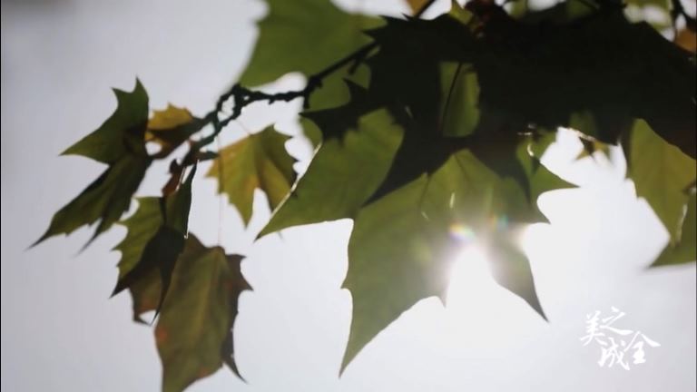 我院关于128排CT的产品介绍会公示