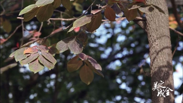 我院关于动物室所需设备“二包”产品介绍会的公示