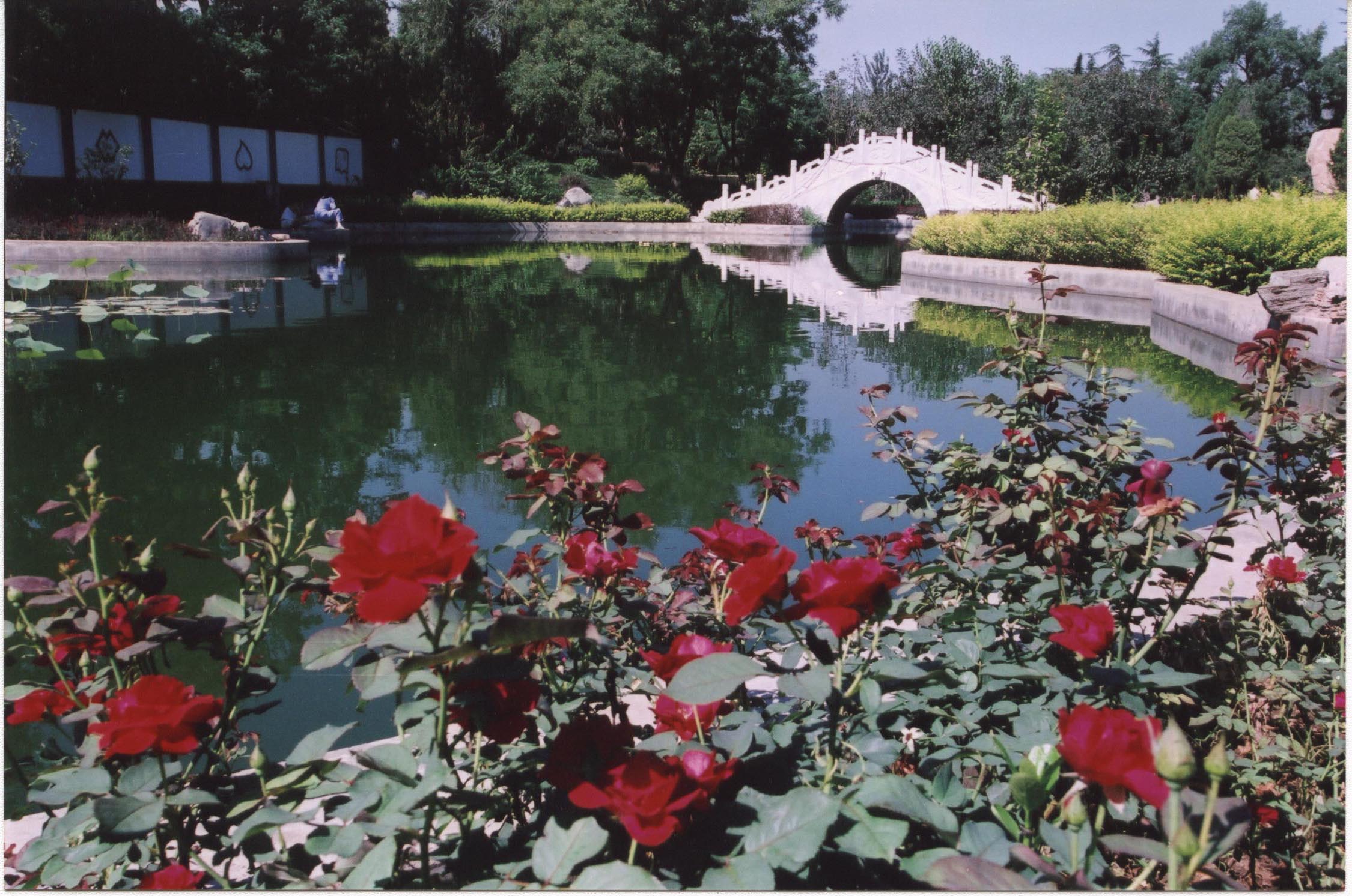 我院关于聚焦超声减脂仪的产品介绍公示