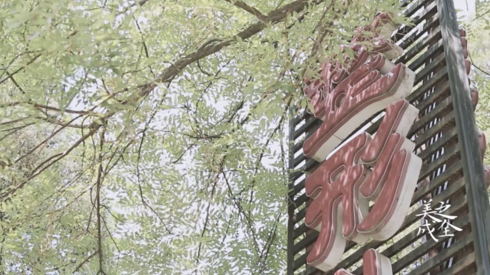 我院2021年协和护理学院绿植花卉采购谈判磋商公告