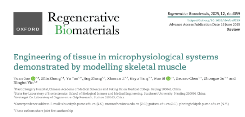 我院与东南大学联合实验室在国际生物材料领域顶级期刊发文，展望骨骼肌微生理系统的源起与未来