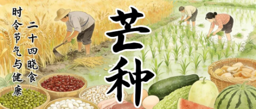 时令节气与健康 | 二十四晓食·芒种