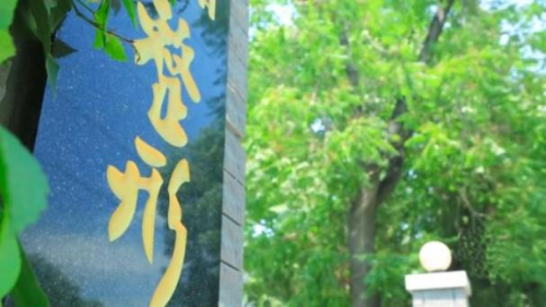 乌斯玛草能否促进毛发生长？专家：简单地暗示一种植物有生发效果，是不靠谱的。